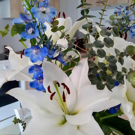 公寓 Le Createur - Au Coeur De La Haute